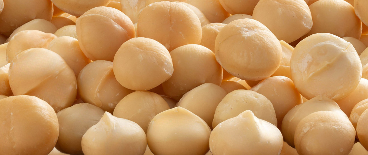 Macadamia Nuts